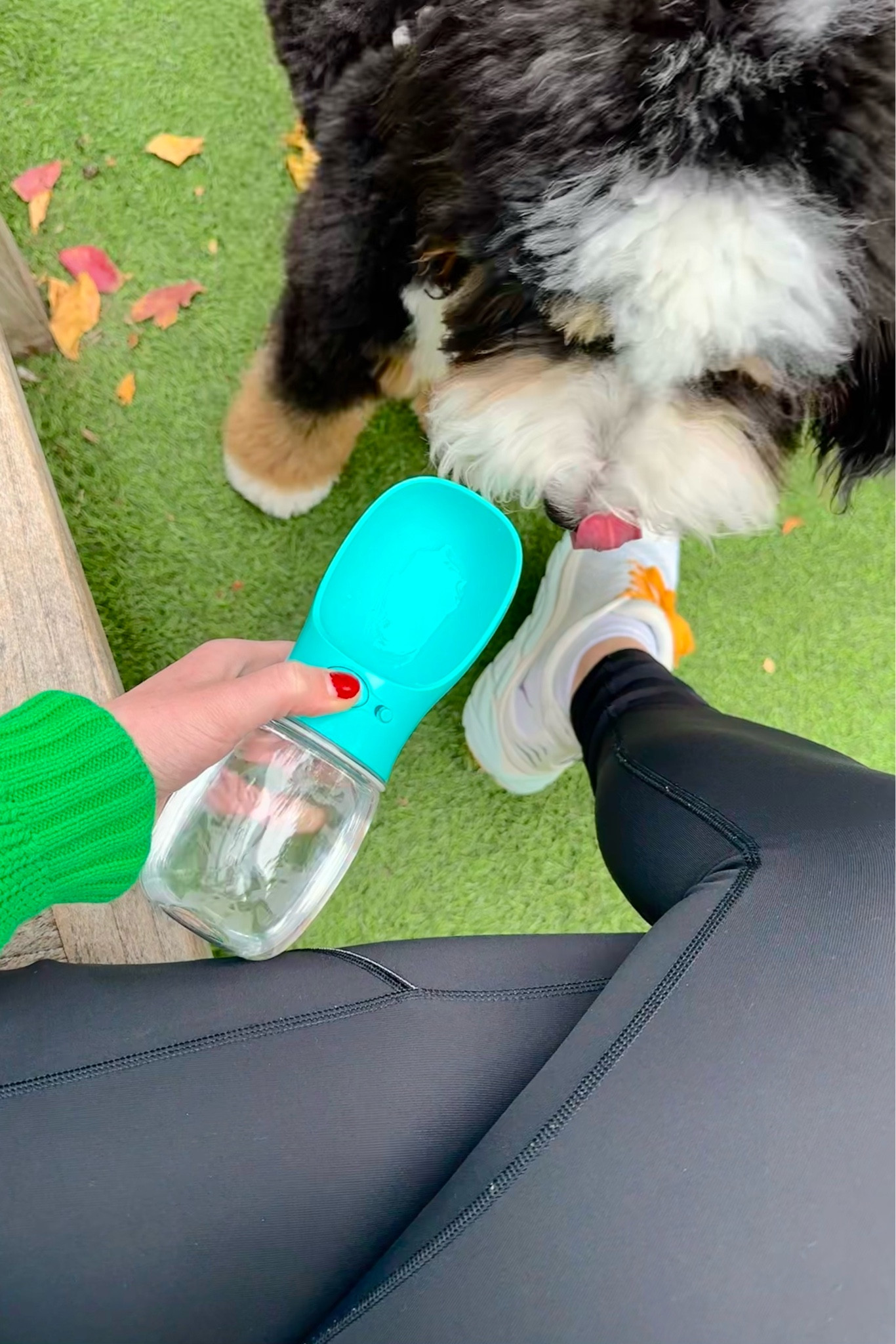 MalsiPree Dog Water Bottle, … curated on LTK