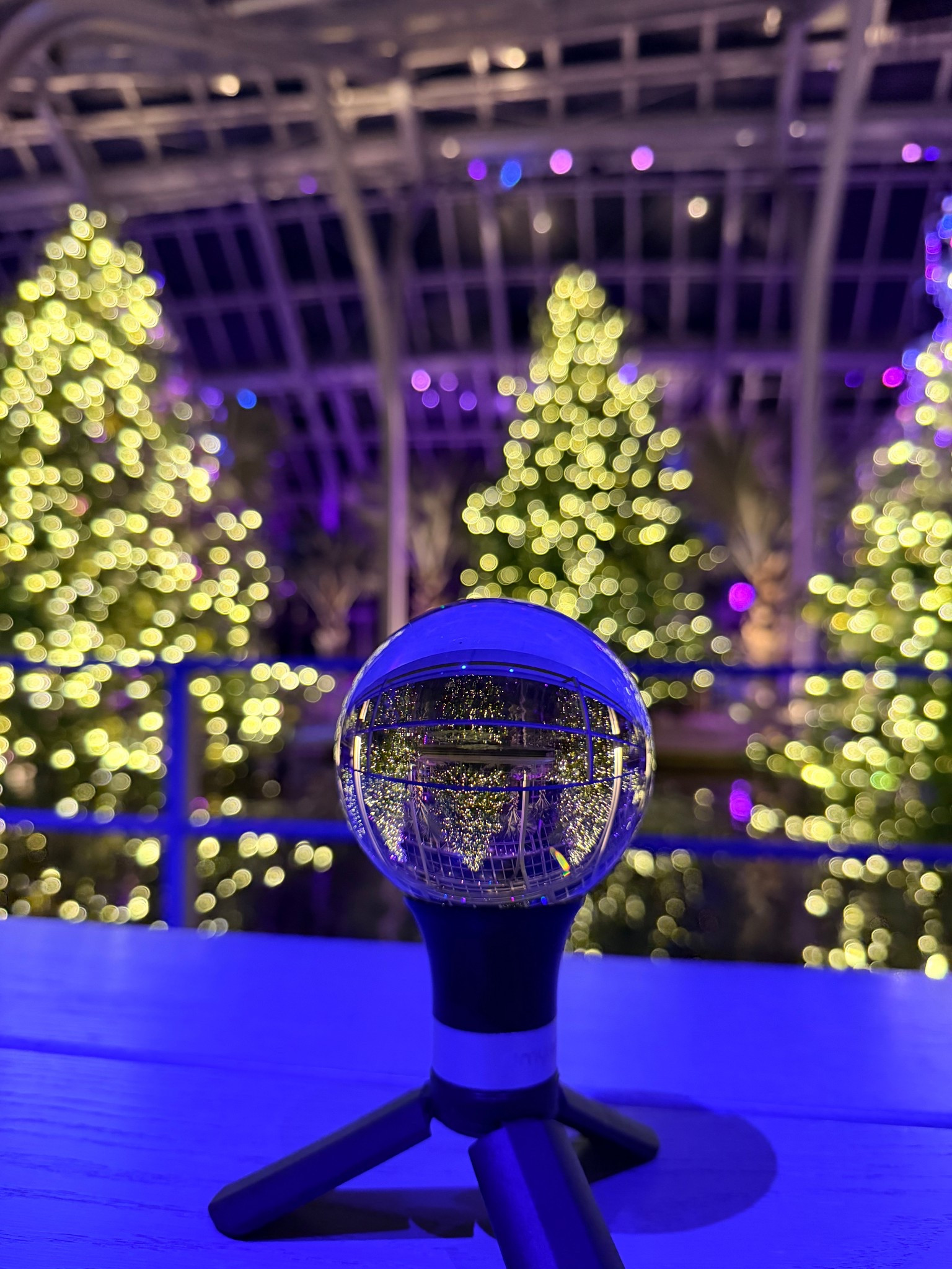 Took the lens ball out for a spin at Longwood Gardens for their Christmas light show. It was amazing. This would make a great gift for someone who loves photography! 

#LTKFindsUnder50 #LTKHoliday #LTKGiftGuide