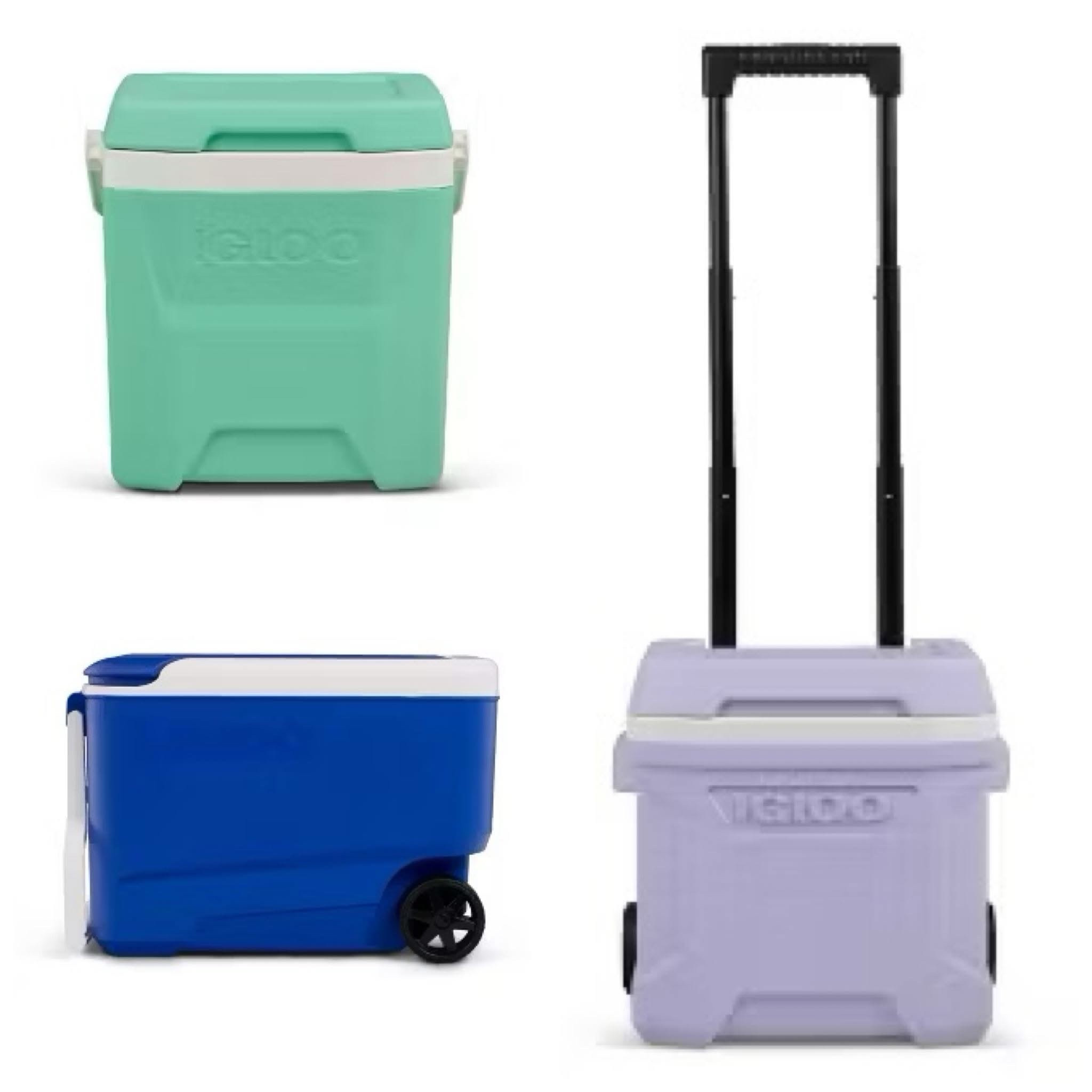 IGLOO coolers starting at $11! 

The Target circle sale is poppin! And these are going fast! 🎯 



#LTKSaleAlert #LTKdayinmylife #LTKmomlife