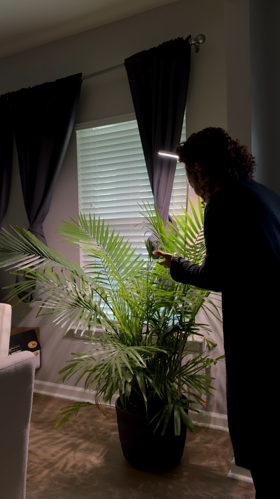 If you’re bringing your plants indoors for winter, do them (and yourself!) a favor and grab an indoor plant light. 

It keeps them bright, healthy, and thriving all season long.

#LTKHome