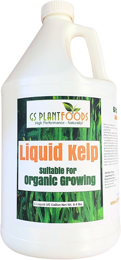 GS Plant Foods Liquid Kelp Fertilizer – Suitable for Organic Growing, OMRI Listed Seaweed Conce... | Amazon (US)