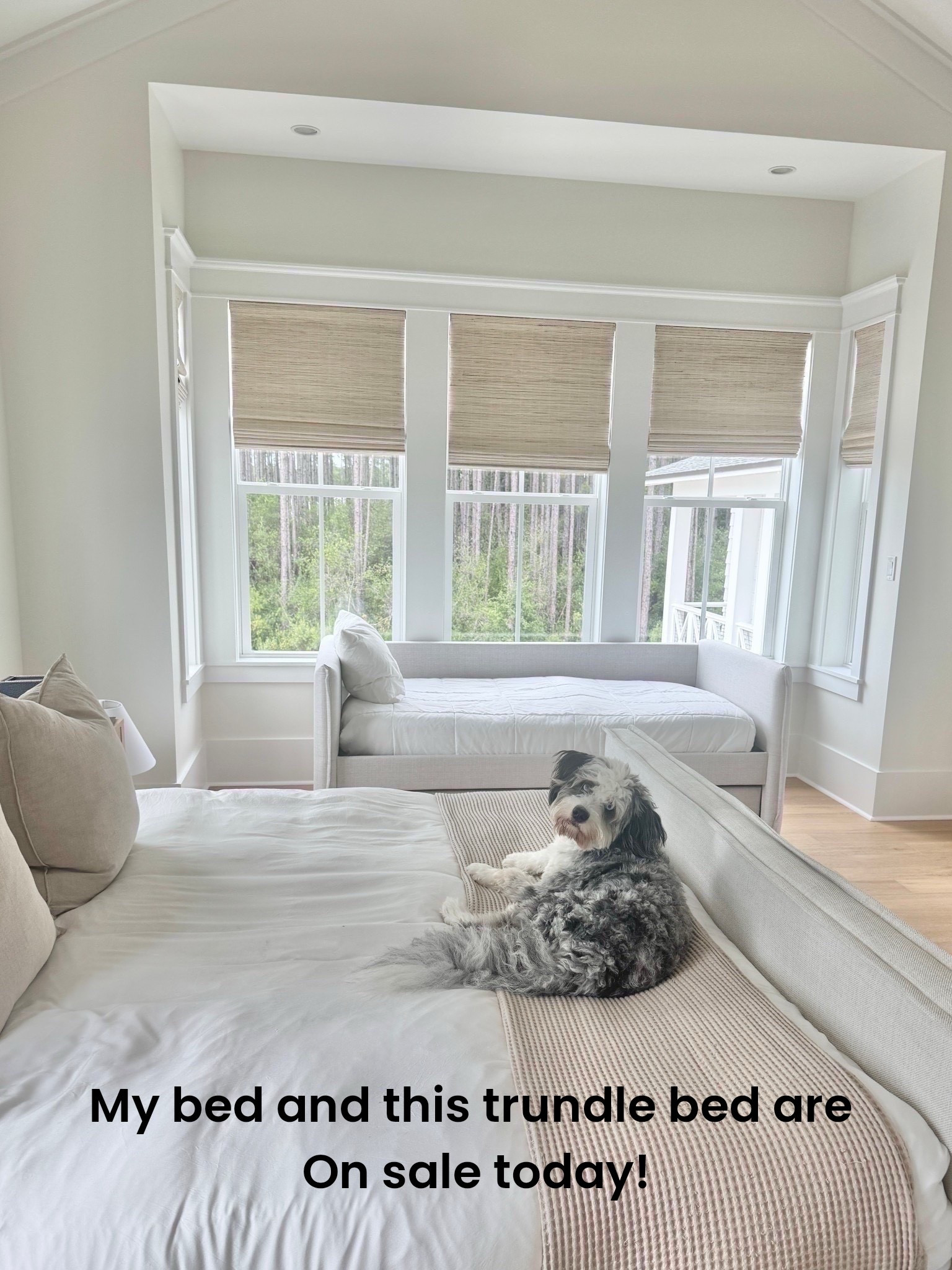 My bed and this trundle bed are on sale today!

#LTKSaleAlert #LTKHome