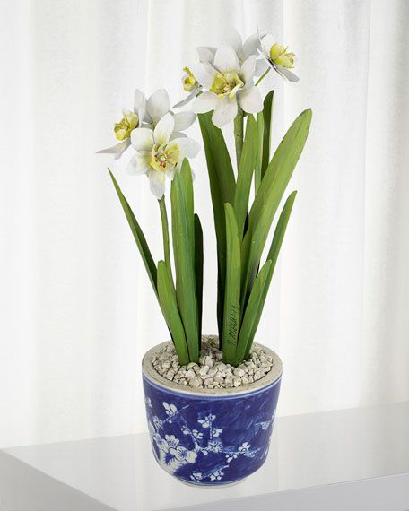 Charlotte Moss for Tommy Mitchell Narcissus December Birth Flower in Blue/White Ceramic Pot | Bergdorf Goodman