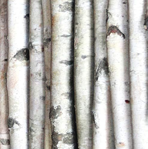 Wilson Enterprises White Birch Poles, Natural, Kiln Dried, Home Decor Birch (Set of 4, 3 ft Long ... | Amazon (US)