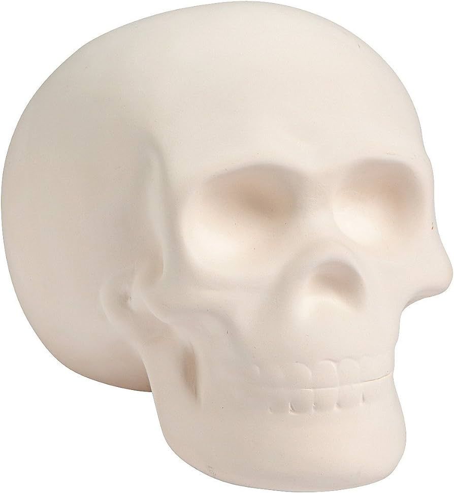 Fun Express DIY Ceramic Skull - Halloween Crafts and Home Decor | Amazon (US)