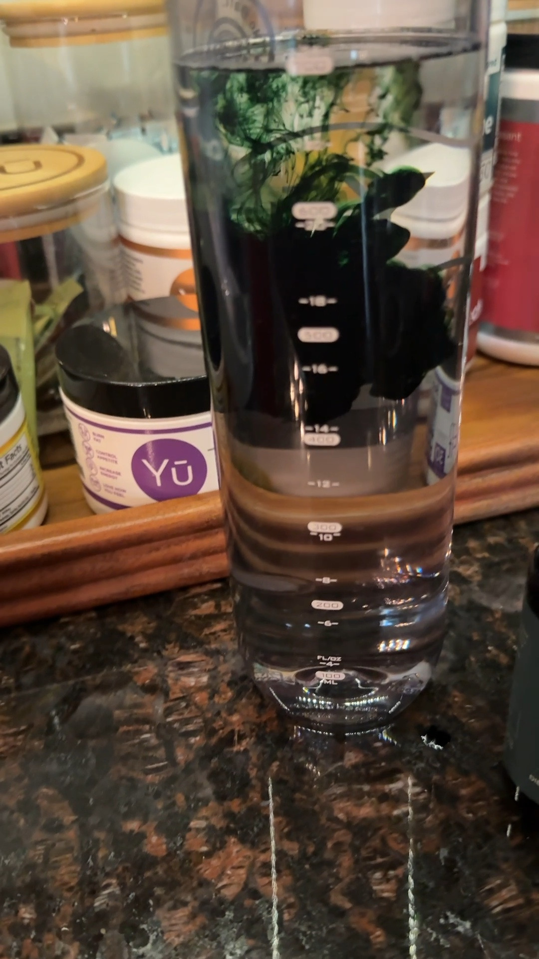 Juna Liquid Chlorophyll Drops – Daily Detox, Cellular Vitality, Internal Deodorizer | 3X Strength | Made with Real Lemon + Mint | Sugar-Free, Zero Fillers, Alcohol-Free

#LTKdayinmylife #LTKgrwm #LTKOver40