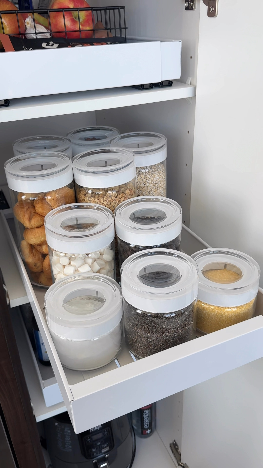 pantry organization 🫙

#LTKHome #LTKxPrimeDay #LTKVideo