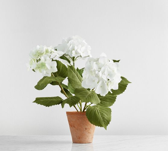 Faux White Hydrangea | Pottery Barn (US)