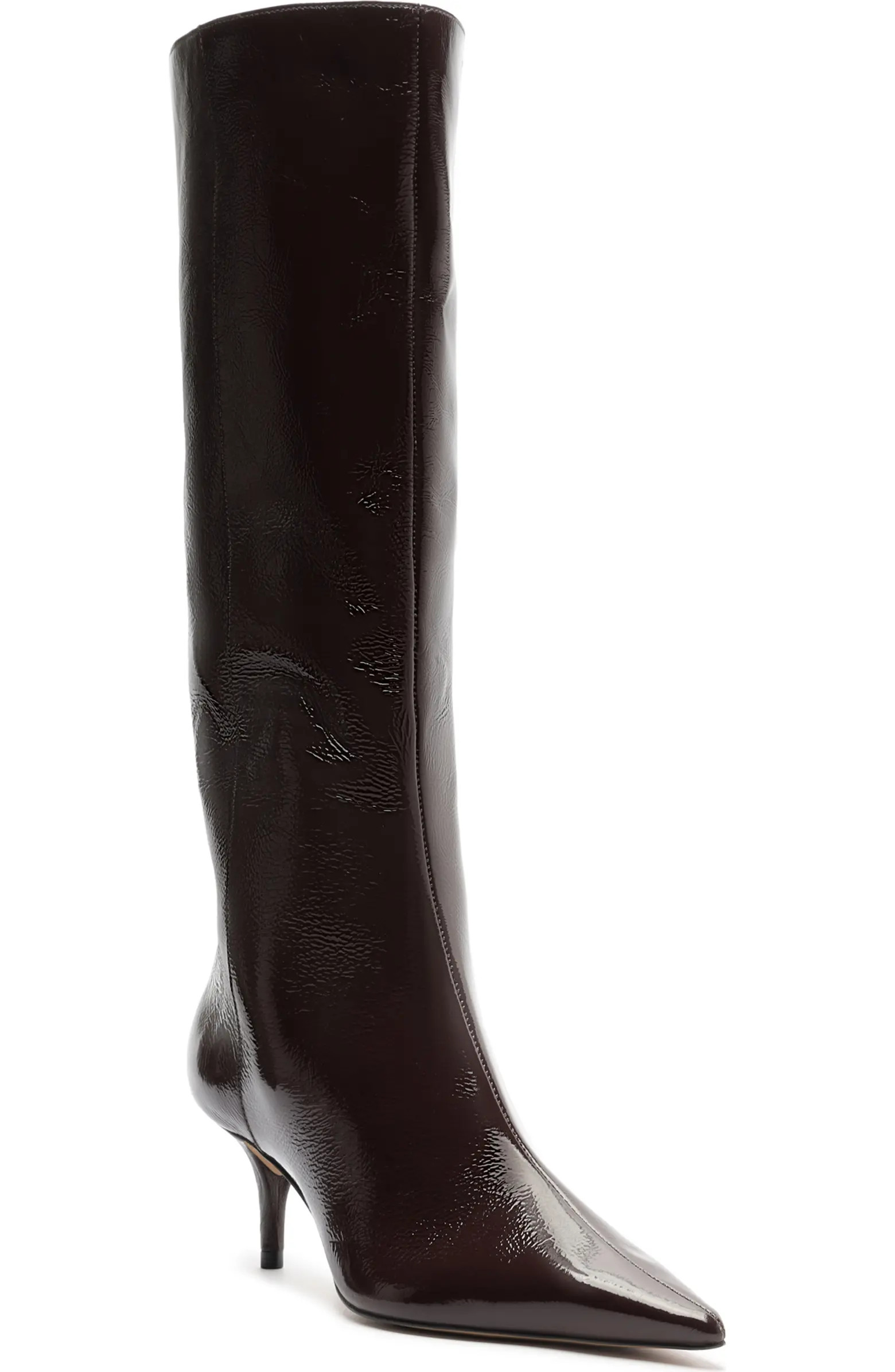 Sasha Pointed Toe Knee High Boot (Women) | Nordstrom