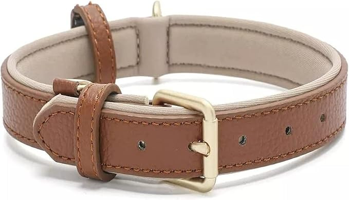 Leather Dog Collar for Small Medium Large Dogs Soft Waterproof Padded Puppy Collars | Amazon (US)