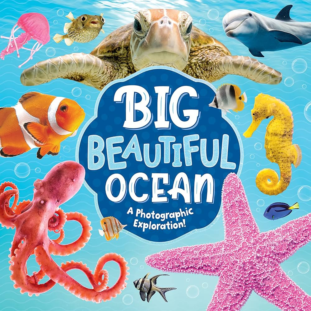 Big Beautiful Ocean: A Photographic Exploration-From Shores to Reefs to the Depths of the Ocean, ... | Amazon (US)