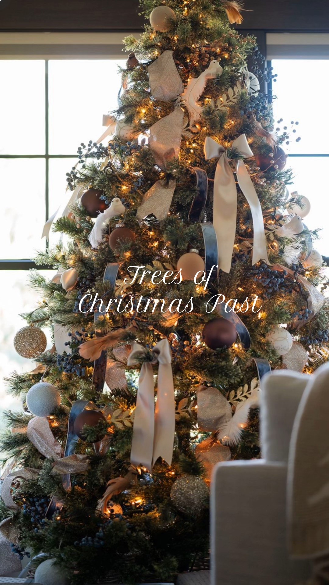 We’ll be sharing this year’s tree soon… but before we do, a little moment for the trees of Christmas past. ✨

Each year, the tree becomes its own chapter — a reflection of where life was, how home felt, and what beauty we were drawn to in that season.
Some years were traditional and layered. Others felt soft, tonal, and quiet.
But all of them were deeply lived in — part of the rhythm of our home.

And one of the most surreal parts:
Every single one of these trees was featured in ELLE Decor — something I still smile about every time the holidays come around.

So here they are… the memories wrapped in ribbon, light, and evergreen.
A carousel through time — through home, through heart.

Which year is calling to you? 🎄💫


#LTKSeasonal #LTKHoliday #LTKHome