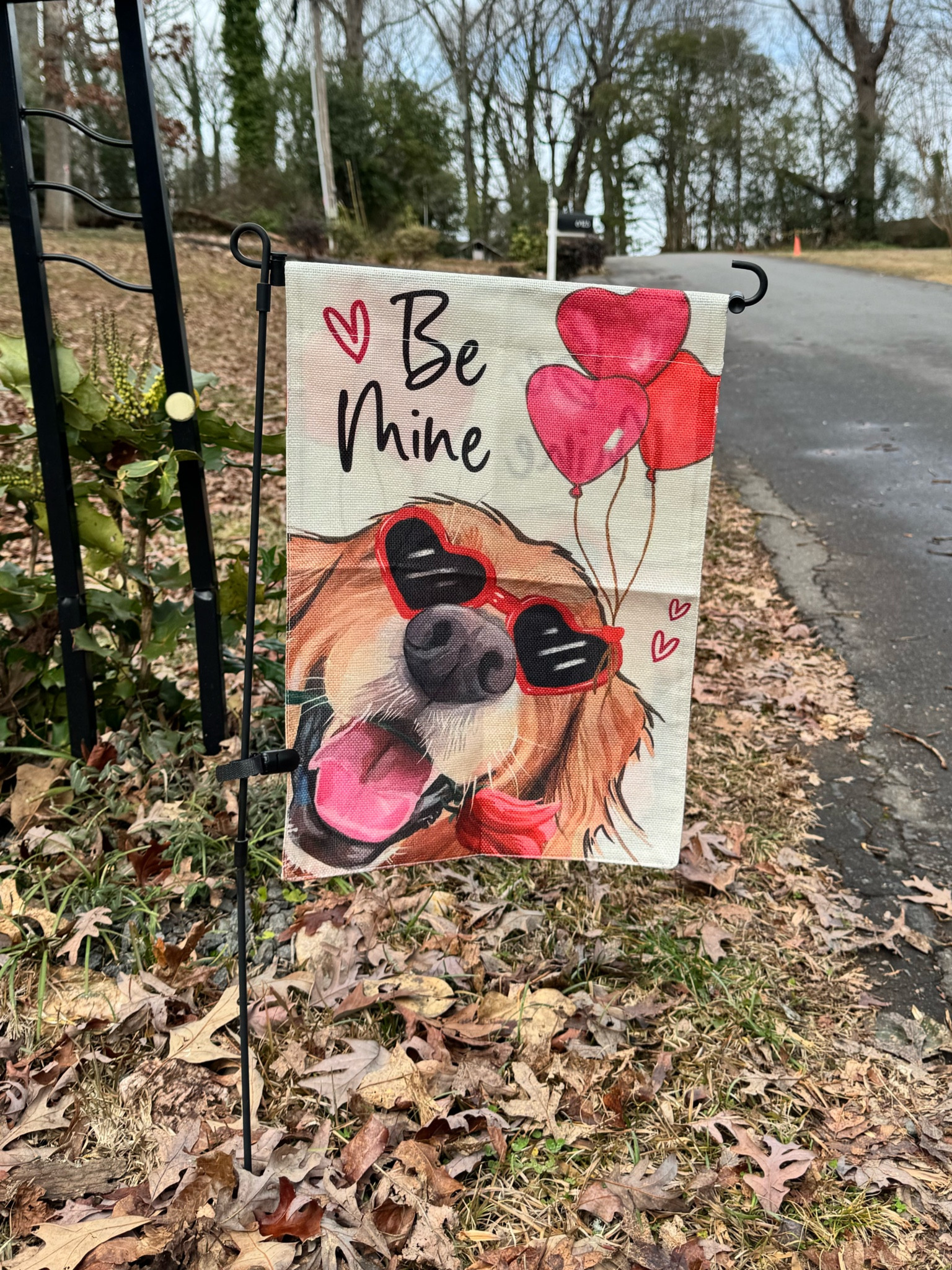 golden retriever Valentine’s Day flag 

#LTKSeasonal #LTKhome