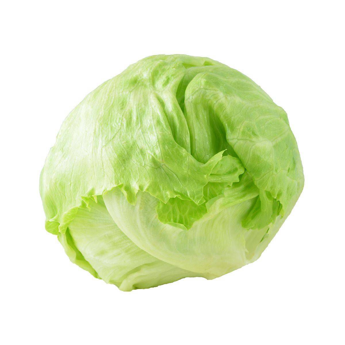 Iceberg Lettuce Head - each | Target