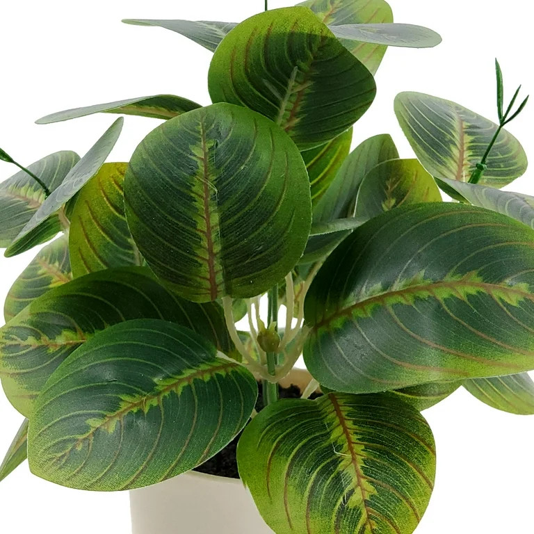 Mainstays Indoor 10 inch Artificial Polyester Prayer Plant In Plastics Pot,Green Color, 1 Piece. | Walmart (US)