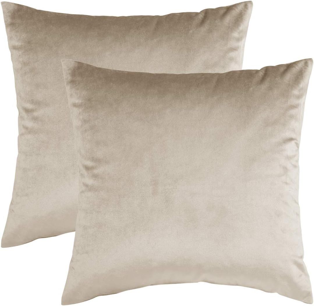 GIGIZAZA Decorative Couch Throw Pillow Cover,Set of 2 Sofa 20x20 Cream Throw Pillows,Square Farmh... | Amazon (US)