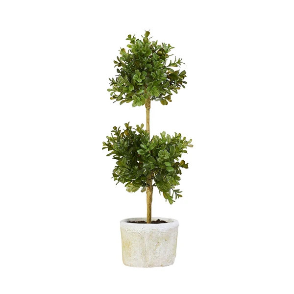 Double Boxwood Topiary Set | Caitlin Wilson Design