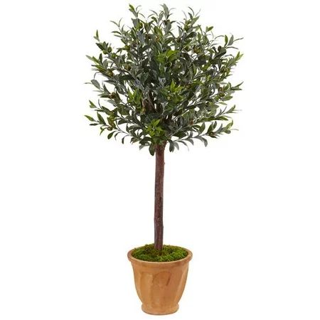 4.5 ft. Olive Tree in Terracotta Planter | Walmart (US)