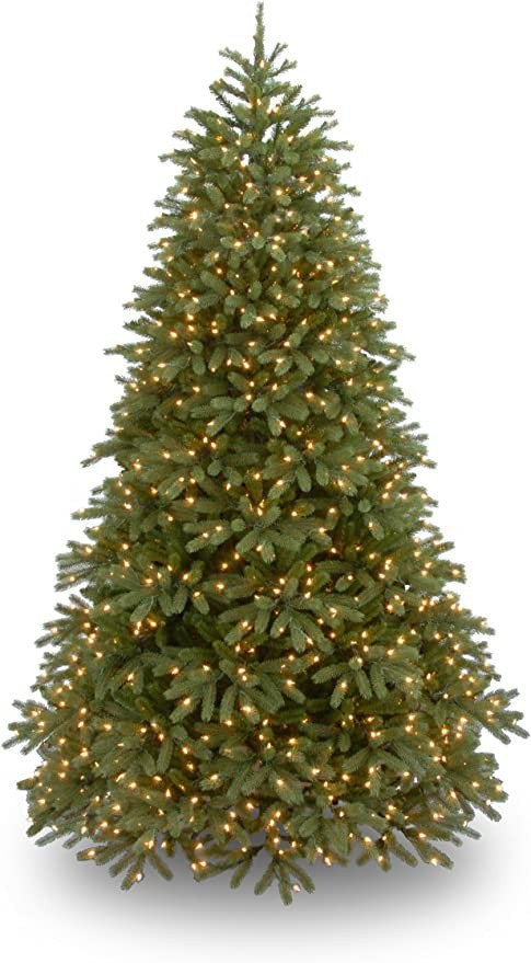 National Tree Company 'Feel Real' Pre-lit Artificial Christmas Tree | Includes Pre-strung White L... | Amazon (US)