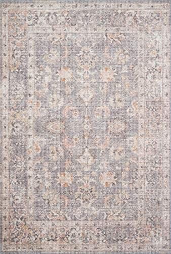 Amazon.com: Loloi II Skye Collection SKY-01 Grey / Apricot, Traditional 6'-0" x 9'-0" Area Rug : ... | Amazon (US)