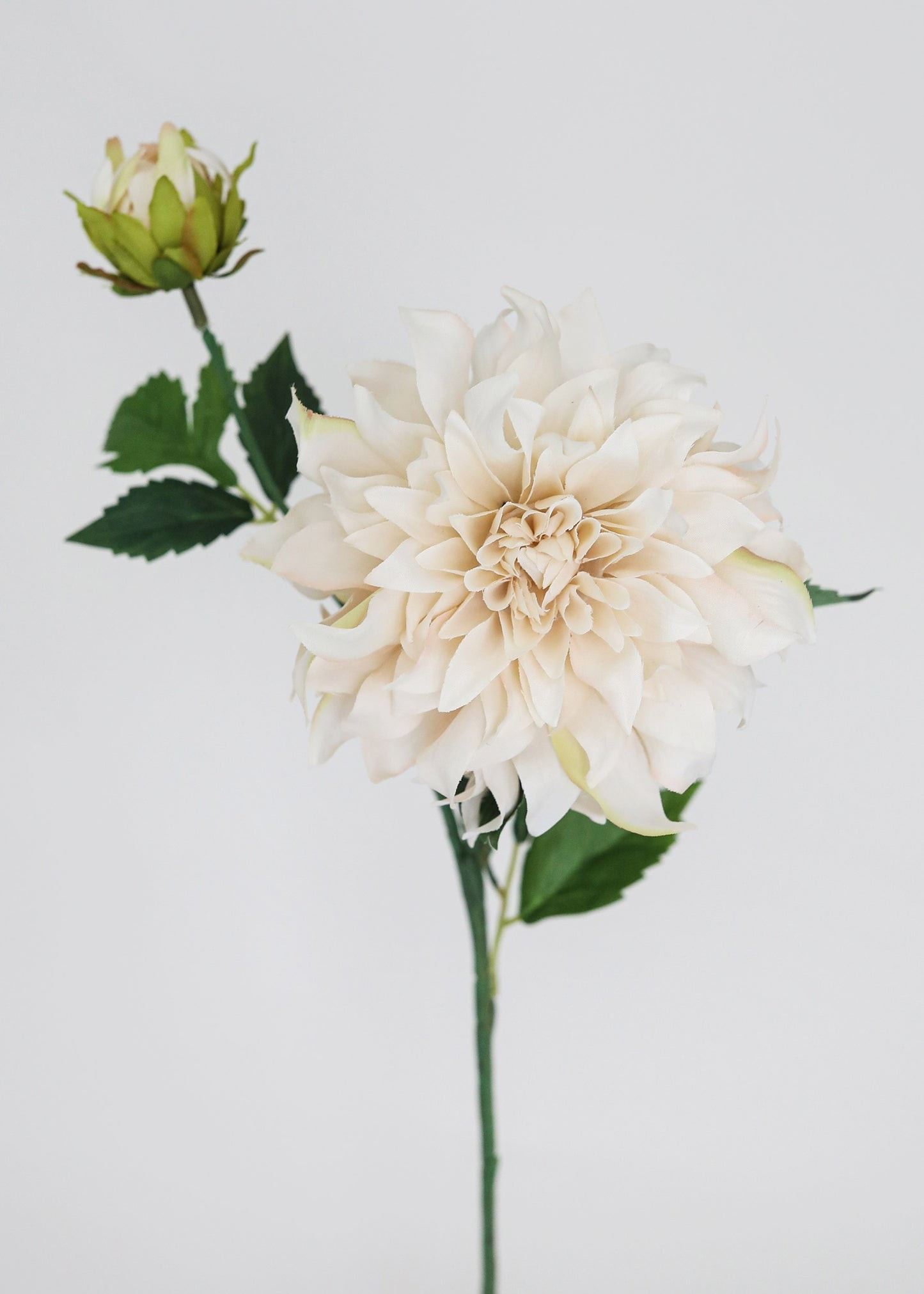 Ivory Dahlia Flower in Ivory - 19.5 | Afloral (US)