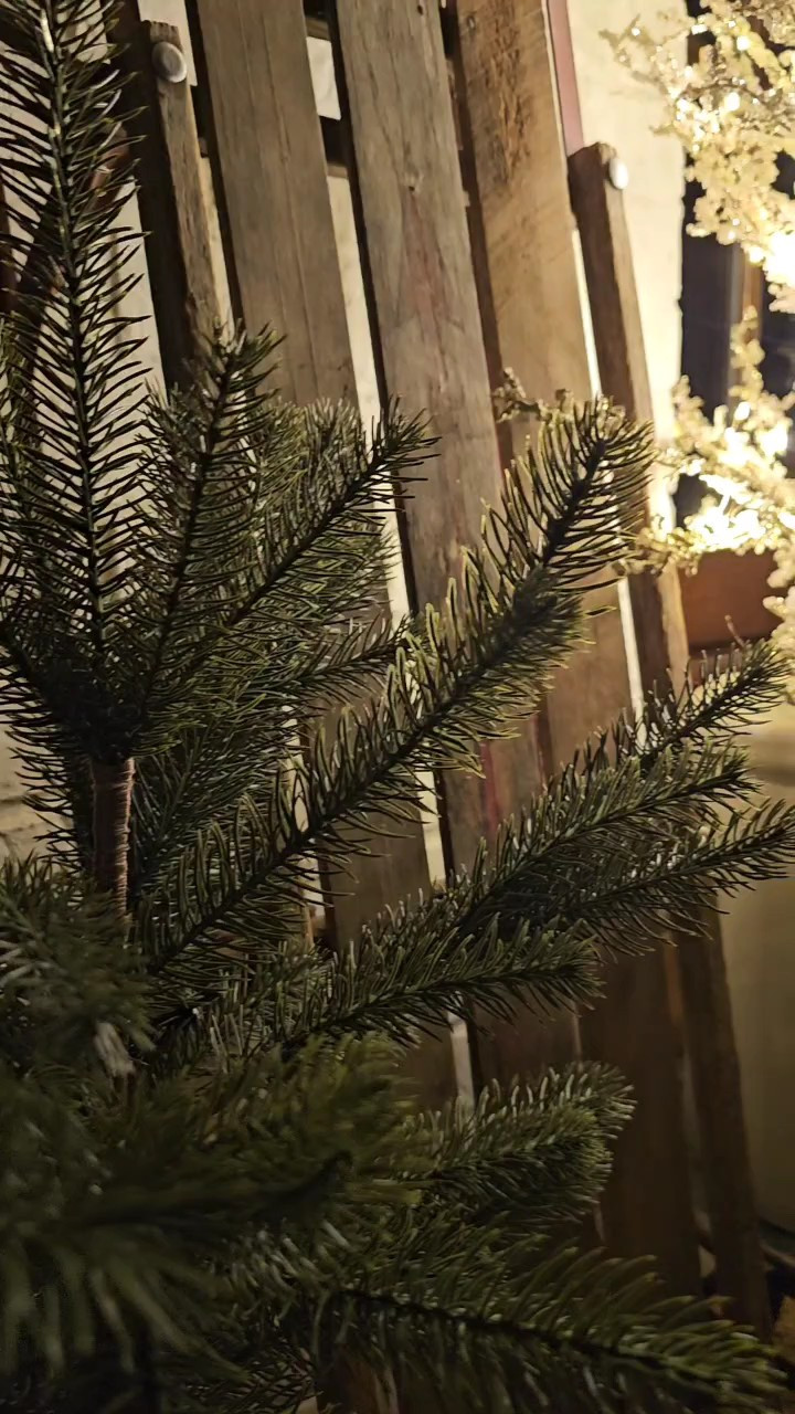 Beautiful set of 3 gold twinkle light trees on black friday sale. Gives off the prettiest glow and I love the twinkle.  I think these will be perfect for my front porch.  Comes in 3 sizes 4ft , 5ft, 6ft#Walmart #christmasdecor #christmastree #christmas

#LTKHoliday