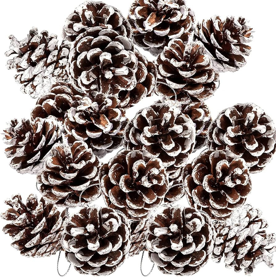 Christmas Pine Cones, 25pcs Christmas Natural Pine Cones Rustic Snow Pine Cones with String Pine ... | Amazon (UK)