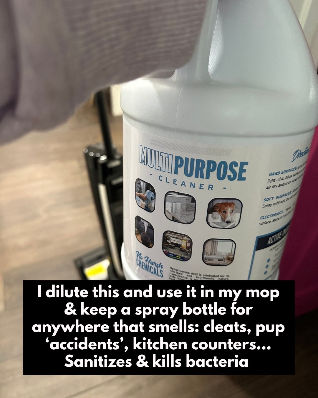 I dilute this and use it in my mop & keep a spray bottle for anywhere that smells: cleats, pup ‘accidents’, kitchen counters... Sanitizes & kills bacteria

#LTKHome #LTKFindsUnder100