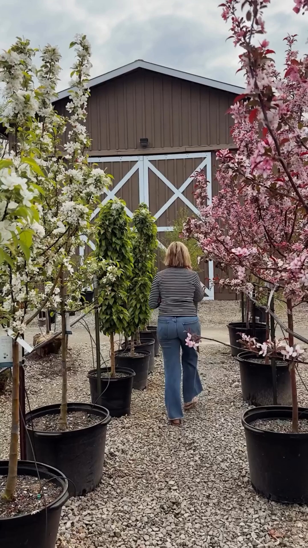 NO FAIL formula for Elevated Everyday. Premium denim, crisp black & white, gold sandals + hoops. This tee is on sale for $34, too! It is so flattering and dramatically elevates a jeans & tee day. 

Comment PIXIE below to receive a DM with the link to this post on my LTK ⬇ https://liketk.it/62ZtG

#modernmidlifecool #quietluxury #howielevateeveryday #elevatedmidlife #butmakeitcomfotable