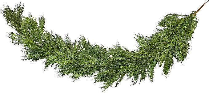 Vita Domi 72" L Artificial Cedar Garland Life Like Poly Two Tone Green Decorative Garland (VTD-AB... | Amazon (US)