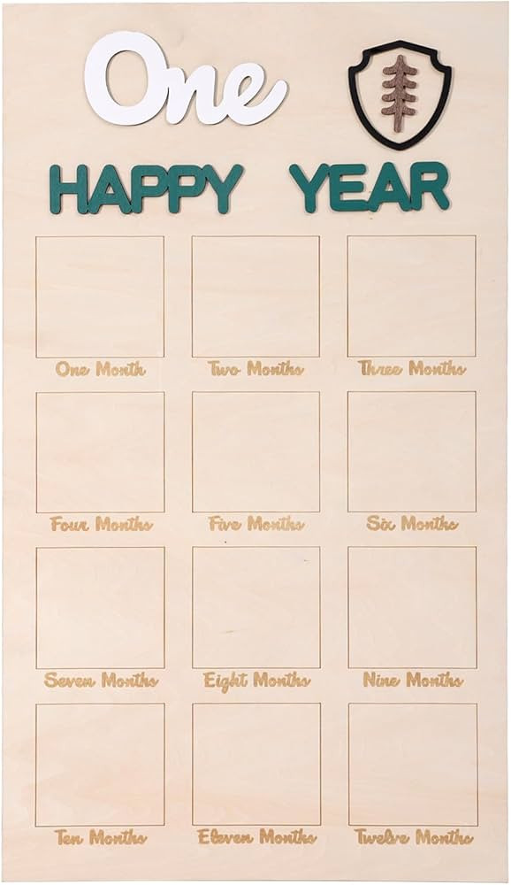 One Happy Camper Year Birthday Wood Photo Board - Camper First Year Birthday Board,12 Months Phot... | Amazon (US)
