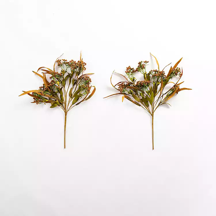 Pink Queen Anne's Lace Bushes, Set of 2 | Kirkland's Home