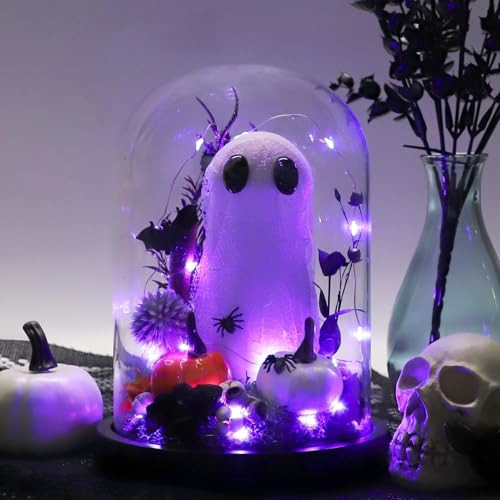 DAZONGE Ghost Halloween Decor, Halloween Ghost in Glass Dome Cloche with String Light, Adopt a Ghost for Halloween Decorations Indoor, Halloween Ghost Tabletop Decor | Amazon (US)