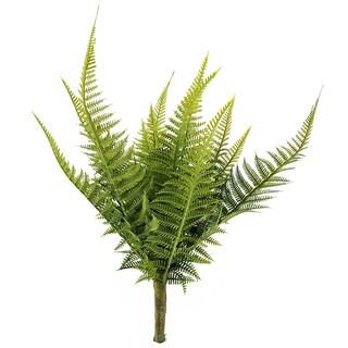 Green Fern Bush by Ashland® | Michaels Stores