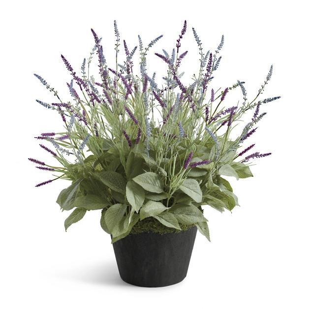 Lavendula Urn Filler | Grandin Road | Grandin Road