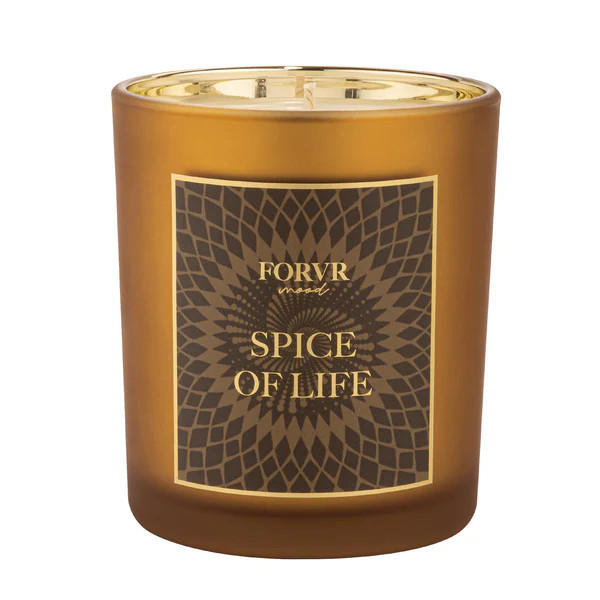 Spice of Life Candle | FORVR Mood