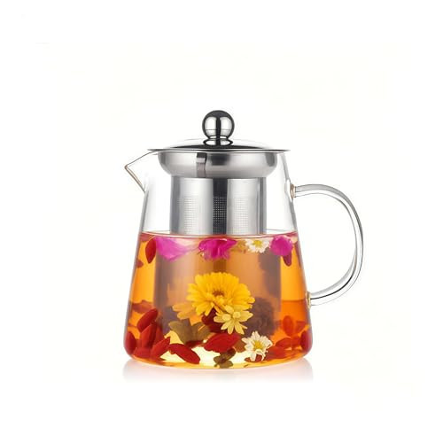 Glass Teapot with Stainless Steel Infuser, Borosilicate Tea Kettle, Clear Tea Maker for Loose Leaf Tea (550ML) | Amazon (US)