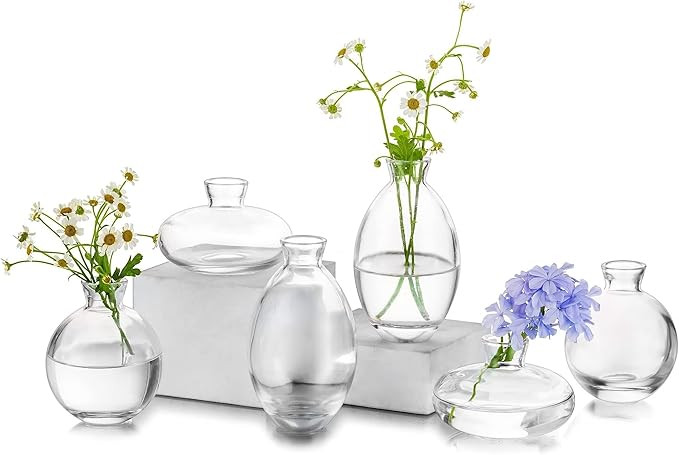 Glass Bud Vase for Centerpieces, 6Pcs/2Sets Glasseam Modern Clear Mini Small Vases for Flowers Bu... | Amazon (US)