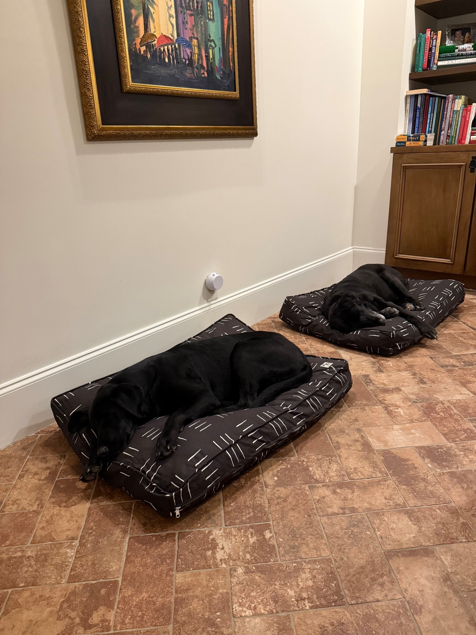 The puppies are out and loving their new beds! 

#LTKHome #LTKdayinmylife #LTKOver40