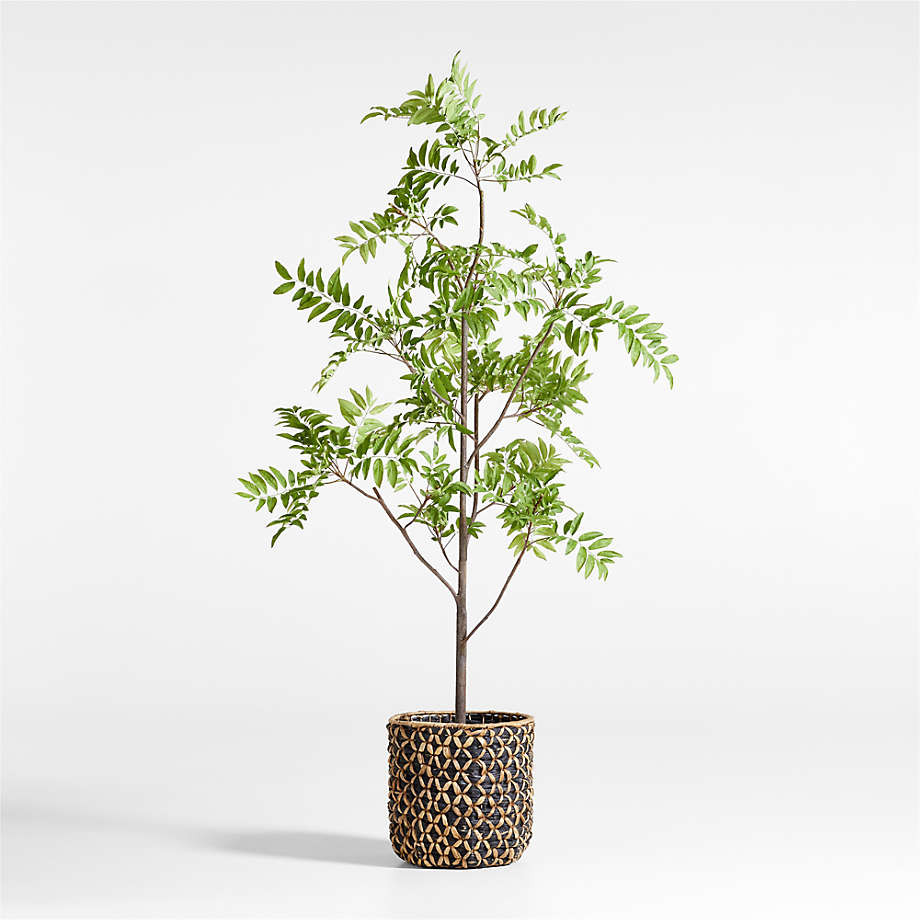 Faux Sorbus Tree 8' + Reviews | Crate & Barrel | Crate & Barrel