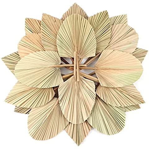 Ragnify Dried Palm Leaves Spear Natural Dried Palm Fans Bohemian Dried Flowers for Bohemian Dried... | Amazon (US)