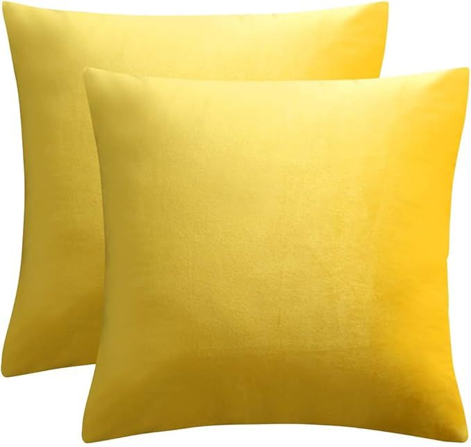 JUSPURBET Velvet Throw Pillow Covers for Couch Sofa Bed,Pack of 2 Decorative Solid Pillowcase,24x... | Amazon (US)
