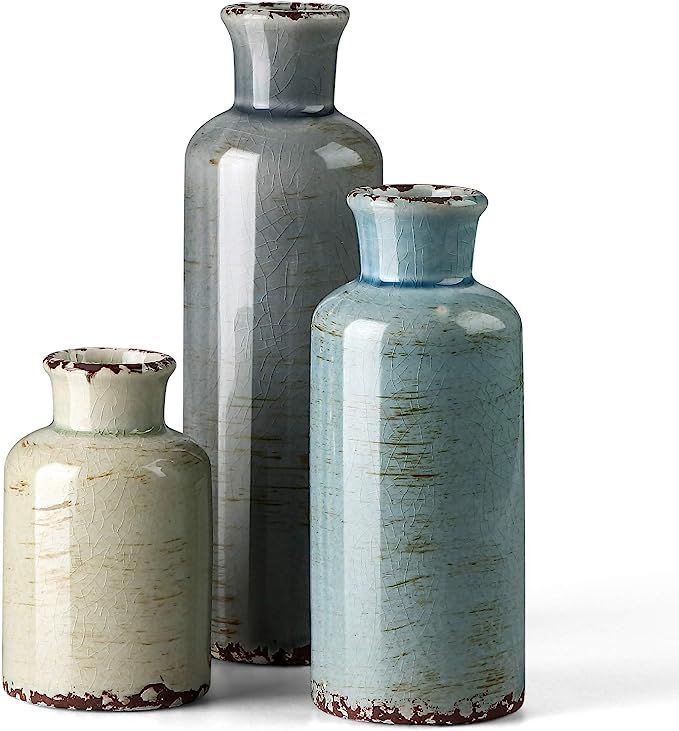 CwlwGO- Ceramic vase 3 Piece Set, Small Rustic Vase for Country Home Decor, Modern Farmhouse Deco... | Amazon (US)