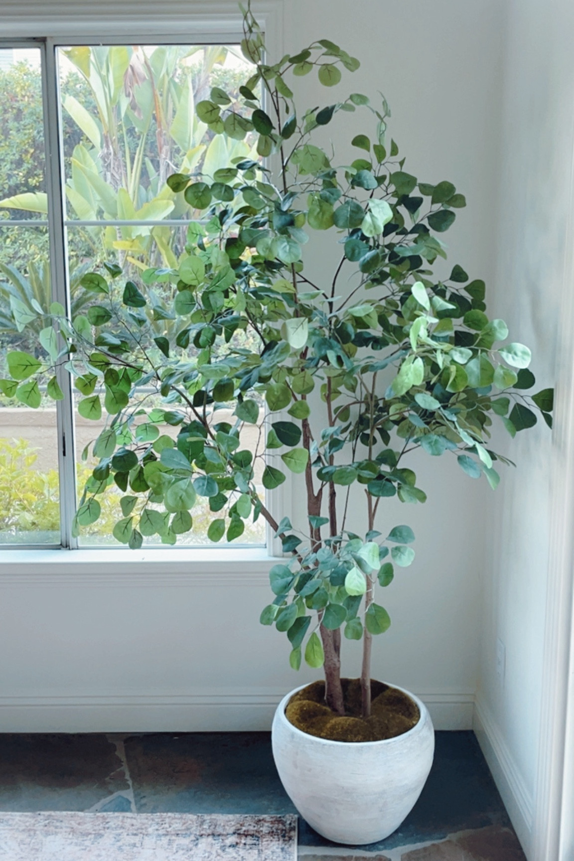 This is my favorite faux Eucalyptus tree. It’s low on stock right now and usually takes a while to come back. Grab it now! 

#LTKStyleTip #LTKSaleAlert #LTKHome