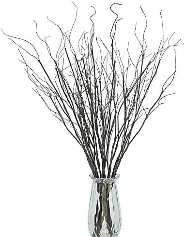 10Pcs 30.7 inches Lifelike Dry Curly Willow Branches Bendable Iron Wires Artificial Twigs Plant S... | Amazon (US)