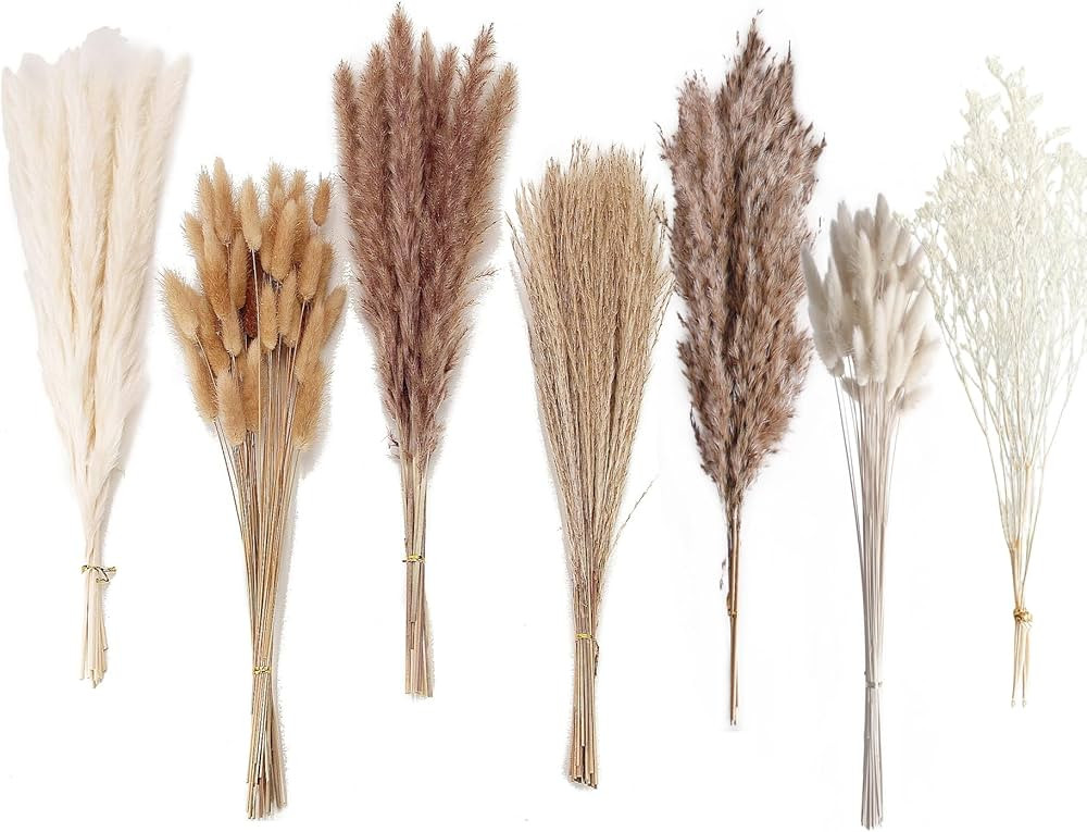 Dried Pampas Grass Decor, 128PCS Pampas Grass with Bunny Tails Dried Flowers, Reed Grass Bouquet ... | Amazon (US)