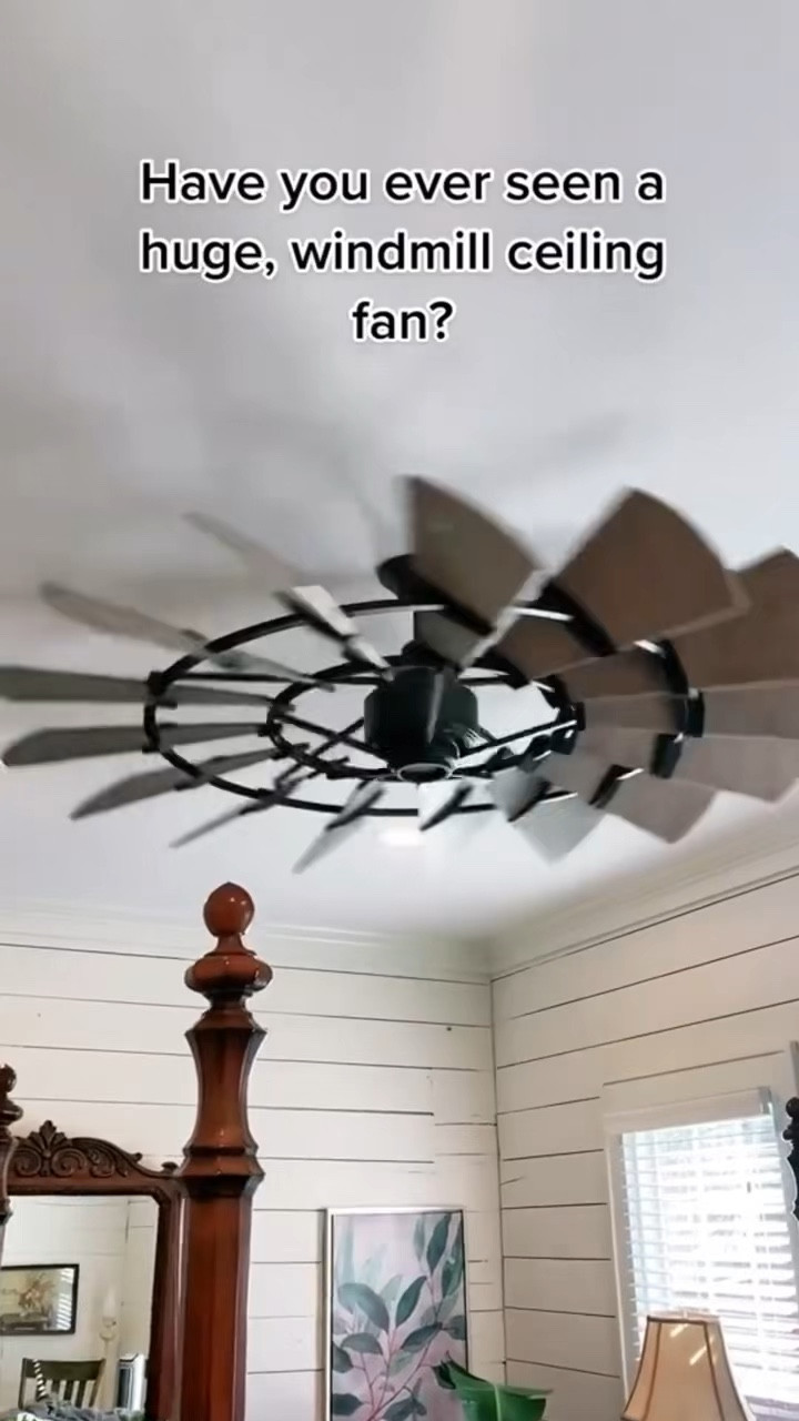 Windmill ceiling fan!! 

Home finds, trendy home decor, ceiling fan, home, aesthetic home

#LTKHome