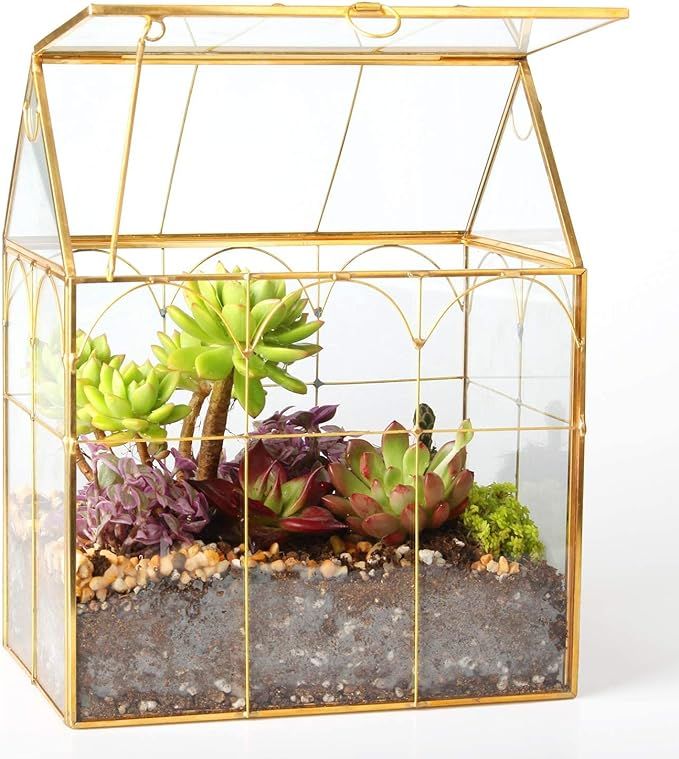 Glass Geometric Plant Terrarium,Succulent & Air Planter for Home Garden Office Decoration (Gold H... | Amazon (US)