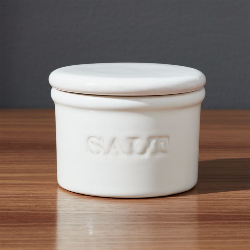 Ceramic Salt Cellar + Reviews | Crate and Barrel | Crate & Barrel