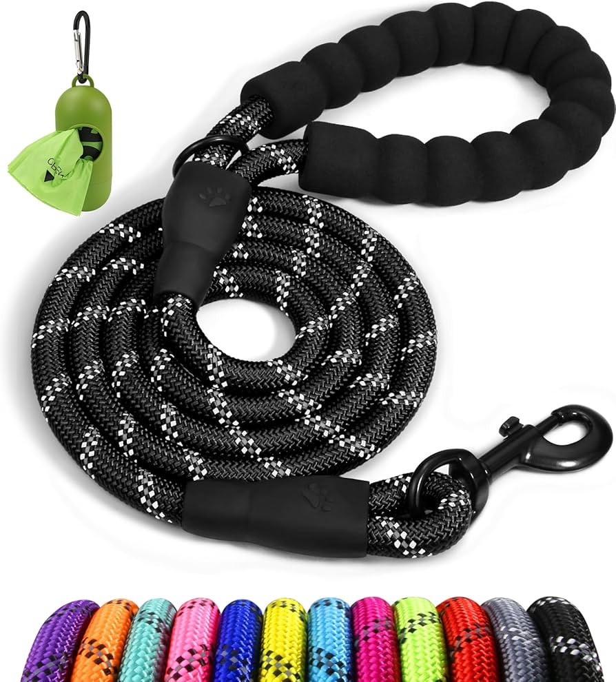 Taglory Rope Dog Leash 6 FT with Comfortable Padded Handle, Highly Reflective Threads Dog Leash f... | Amazon (US)